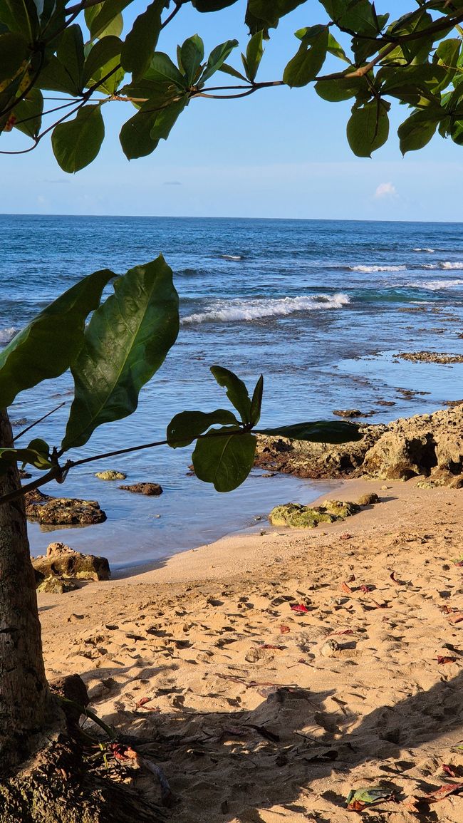 Karibisches Costa Rica