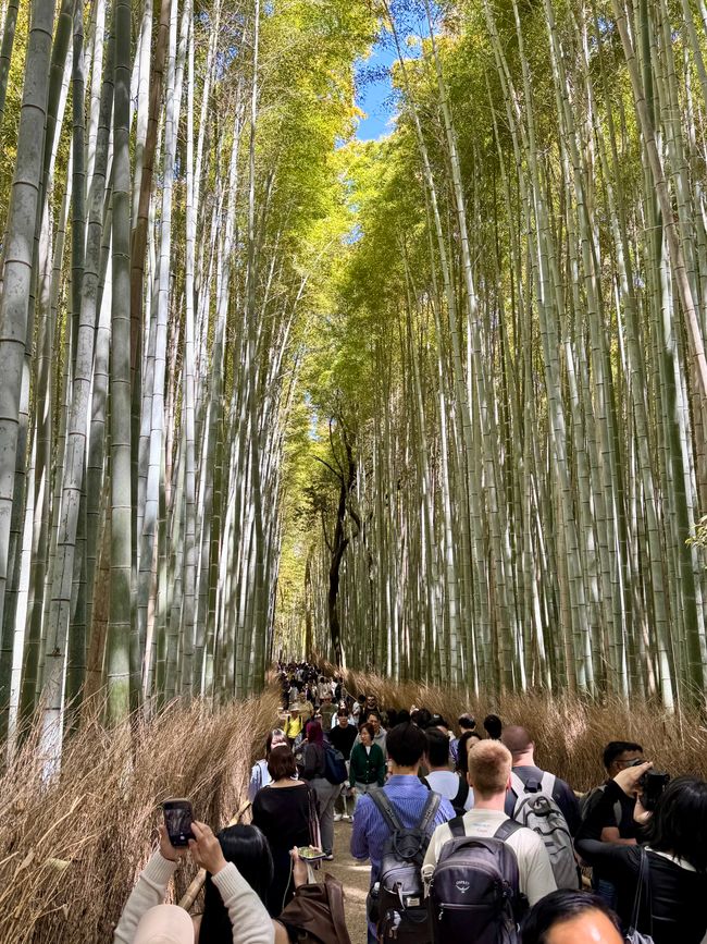 Part 8 Japan 🇯🇵 Kanazawa