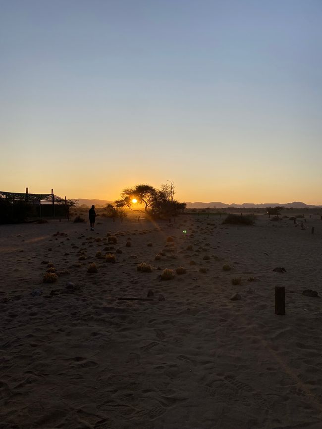 Desierto de Namibia 🏜️