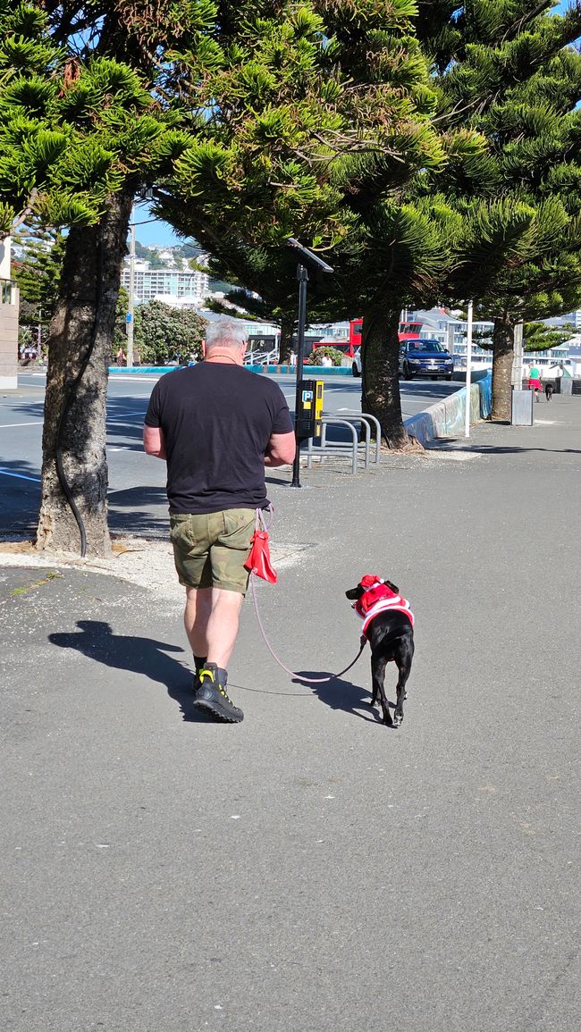 Lower Hutt - Wellington