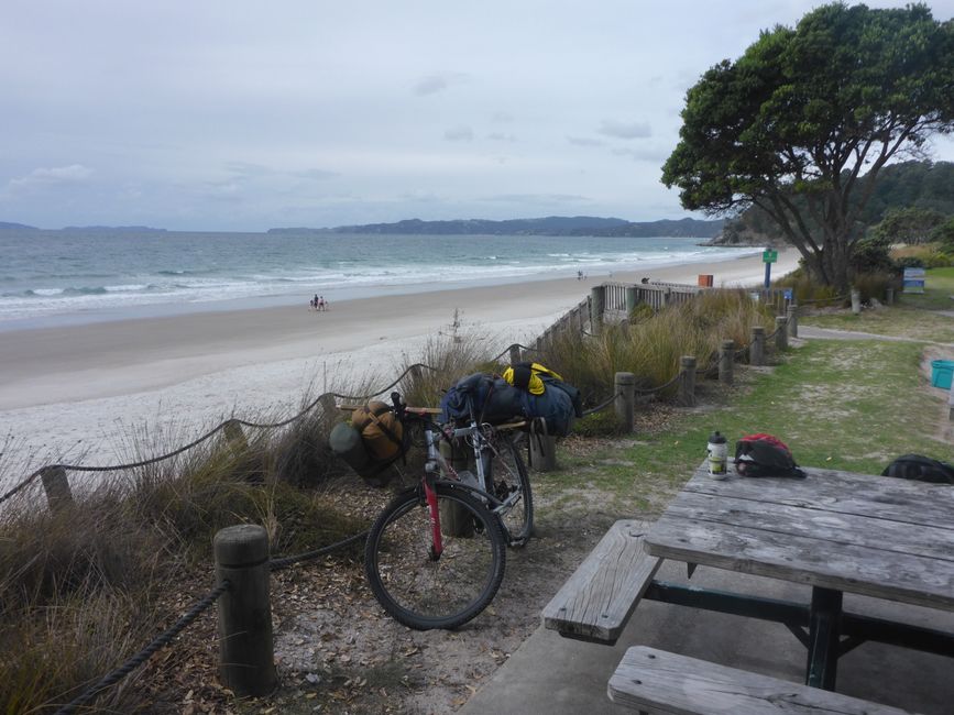 2025-04-11 NZ, Coromandel