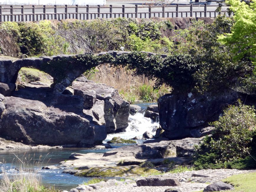 Kagoshima, 8 avril 2026