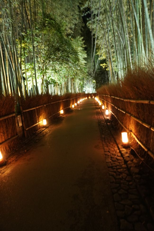 Im Sprint durch Kyoto