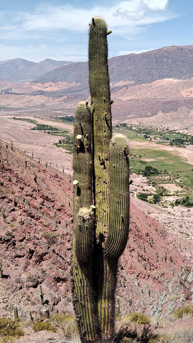Argentina, Jujuy