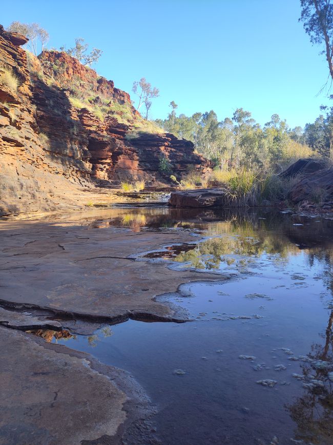 In der Schluchte bei den Kalamina Falls