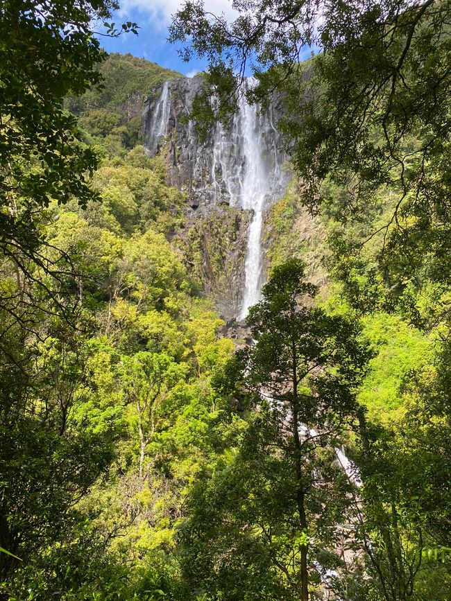Hobbiton & Waterfalls 🌊