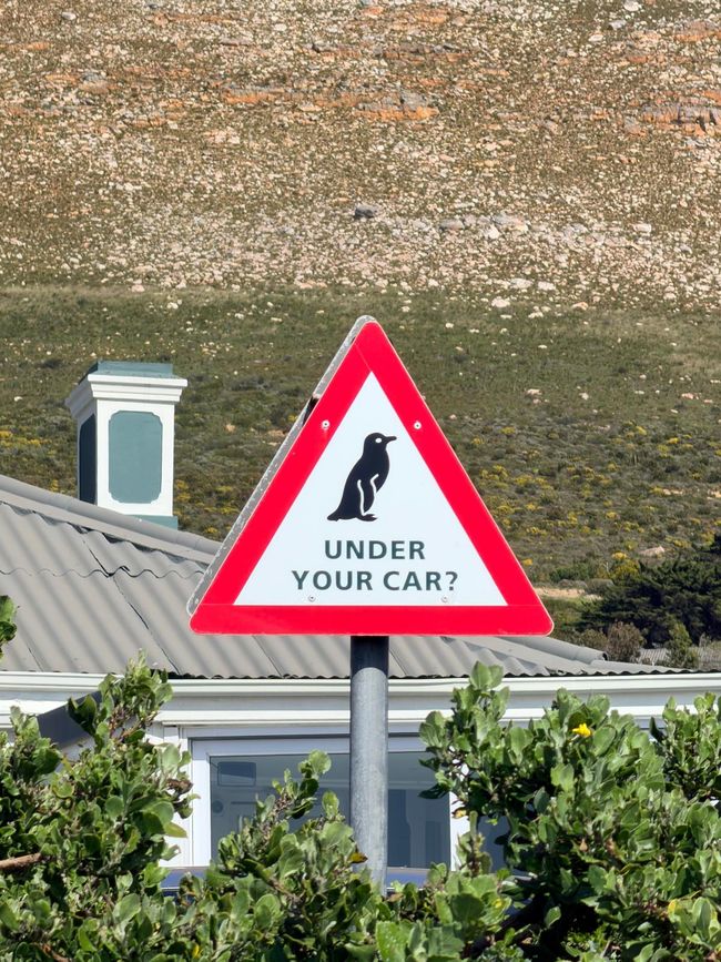 Mit Pinguinen am Ende der Welt