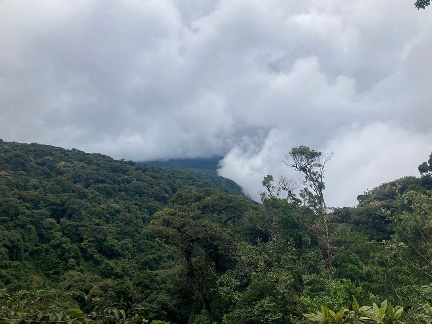 Monteverde