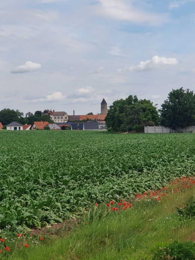 Tag 1 Grenzgang ( Hinfahrt)
