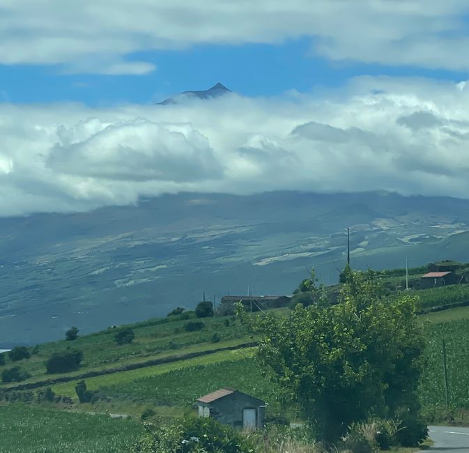 Pico