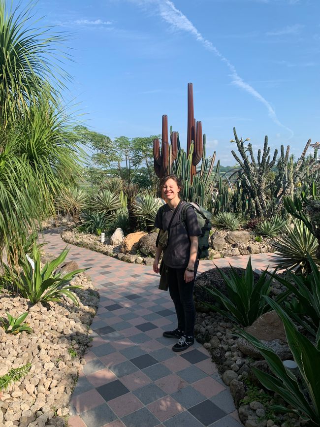 In the rooftop cactus park. We don't stay for more than a few minutes because the warm, humid climate can already be felt here 