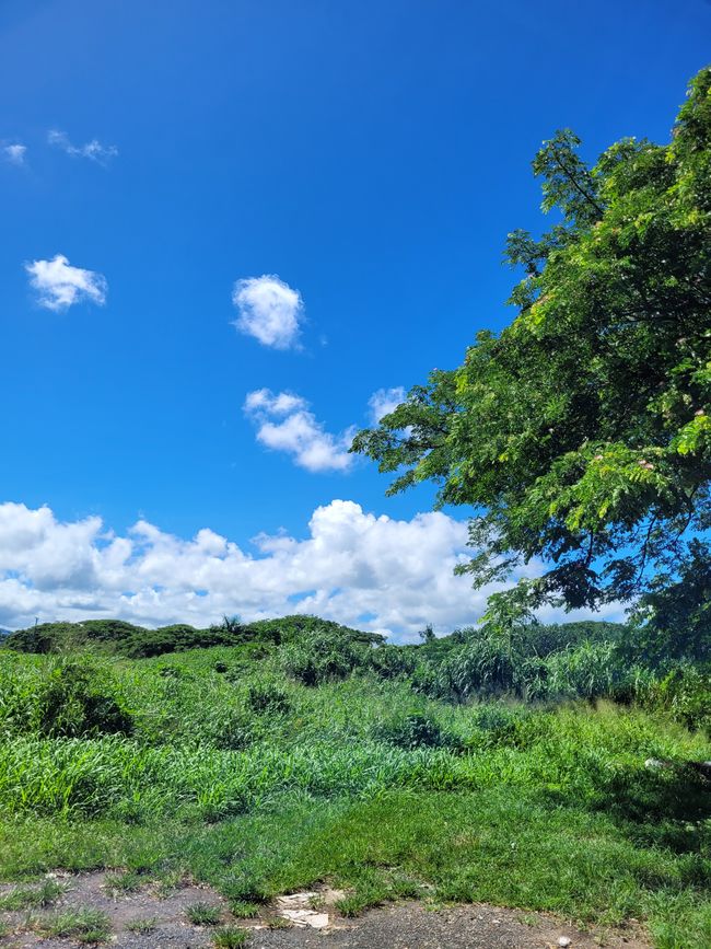 Giorno 74 di 175: Crociera intorno al mondo - Lautoka/Fiji