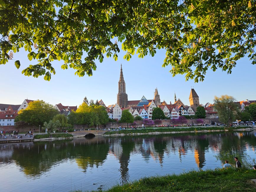Blick von Neu-Ulm nach Ulm