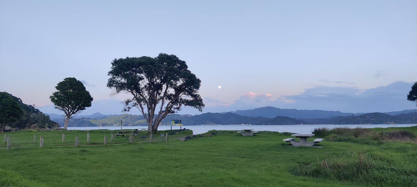 Erdbeermond im Whangaruru North Head Scenic Reserve