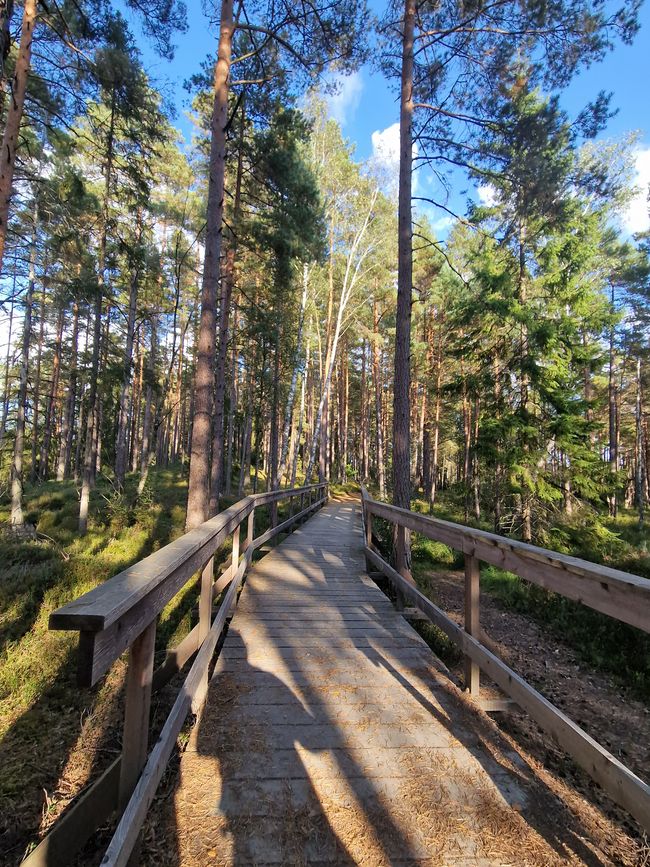 Schweden 8. Tag - Bäckerei, Zimtschnecken, Schloss Teleborg, Store Mosse Nationalpark