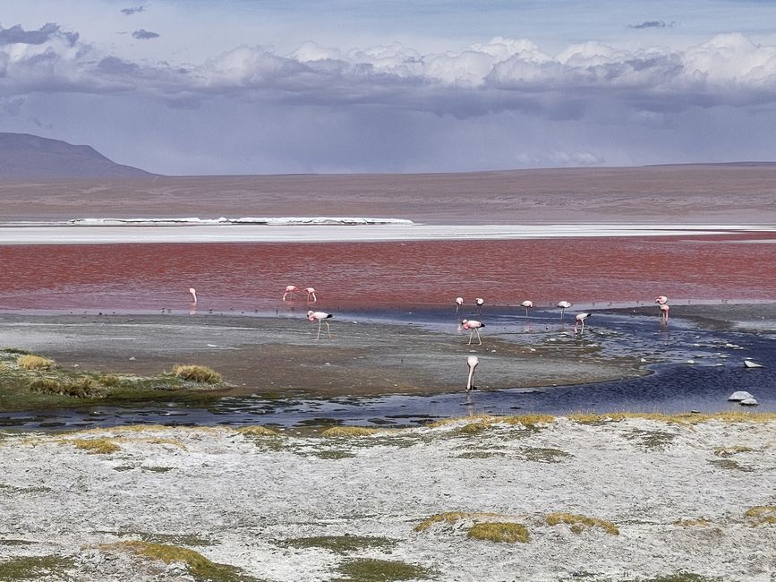San Pedro und Co.: Wüste, Lagunen und ganz viel Salz 