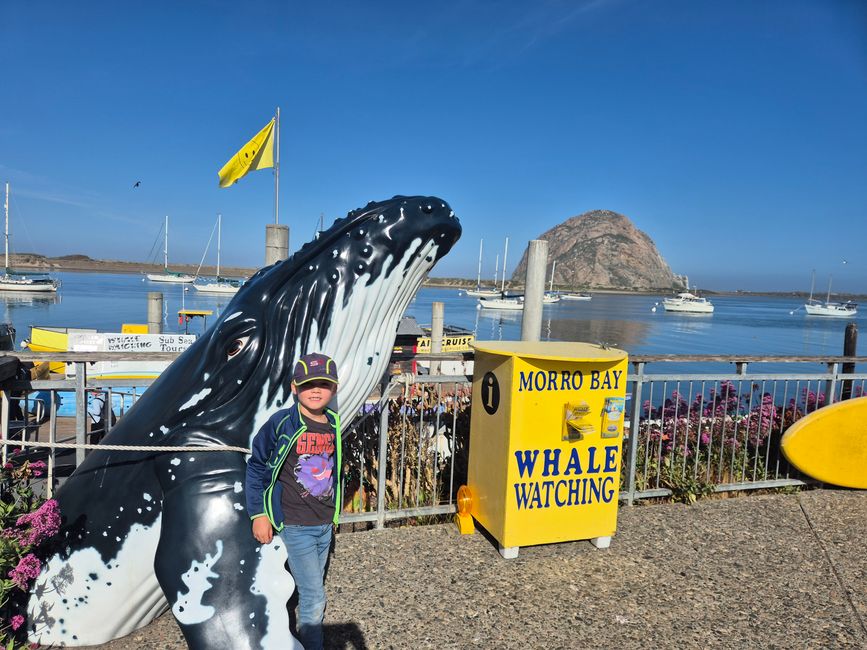 Auf zum Whale Watching...
