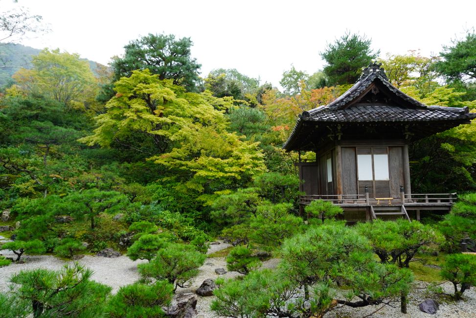 Gartenbesichtigung im regnerischen Kyoto