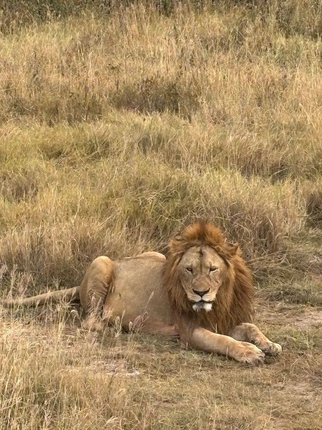 Ngorongoro-Krater