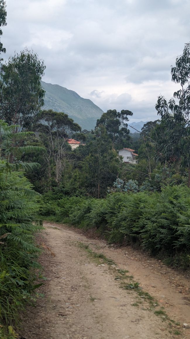 13. Stage Camino del Norte from Barro to Camango