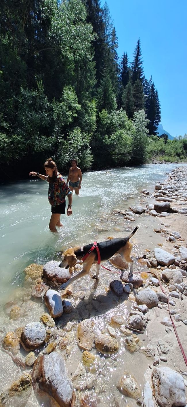 Am Fluss Boite