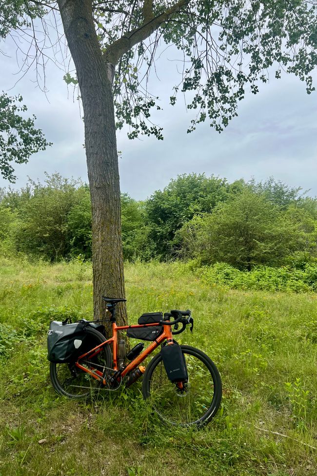 NL-FR-BE 2026 - Tag 04 Antwerpen-Brügge
