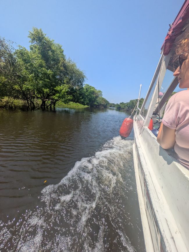 Rio Negro + Rio Solimões gleich  Amazonas