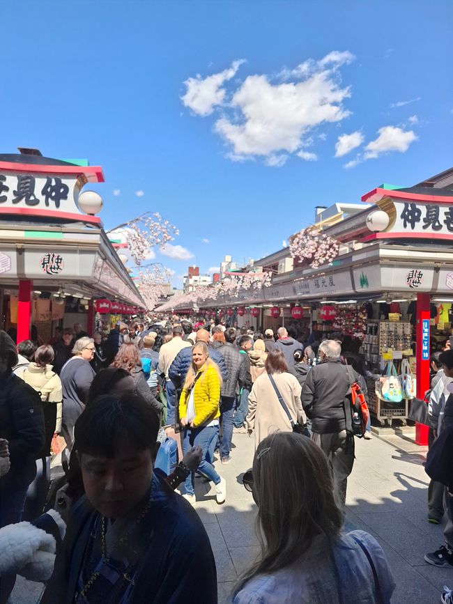 Sightseeing Tag