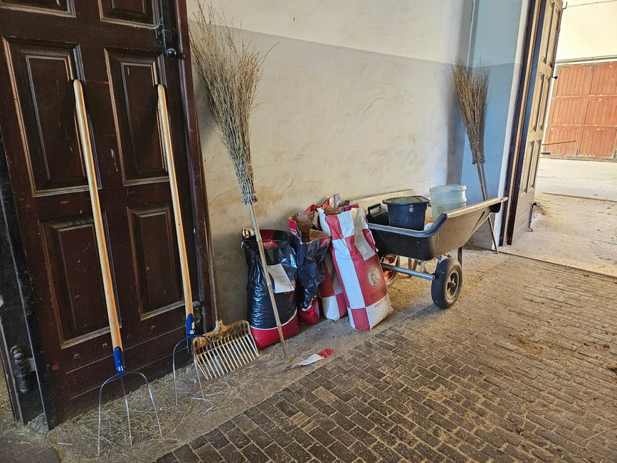 2026 - Juin - Haras Lipizzaner à Lipica