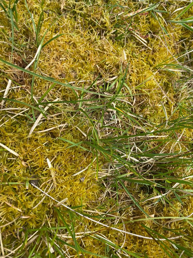 27.05.2024 Montag 