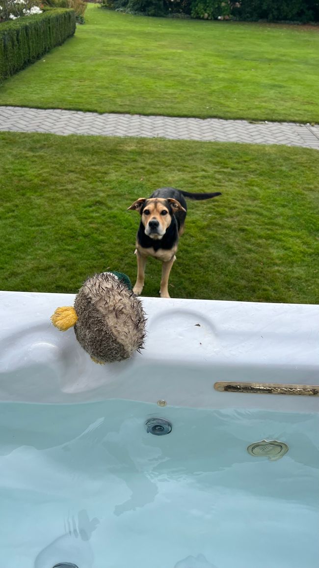 Franzi non ha mai accarezzato così spesso un cane come Emma