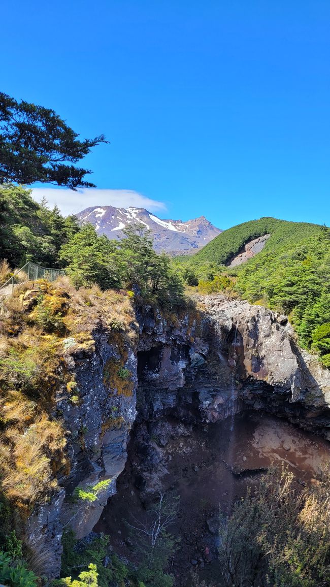 29.Januar-27.Februar 2025 Neuseeland
18.Februar