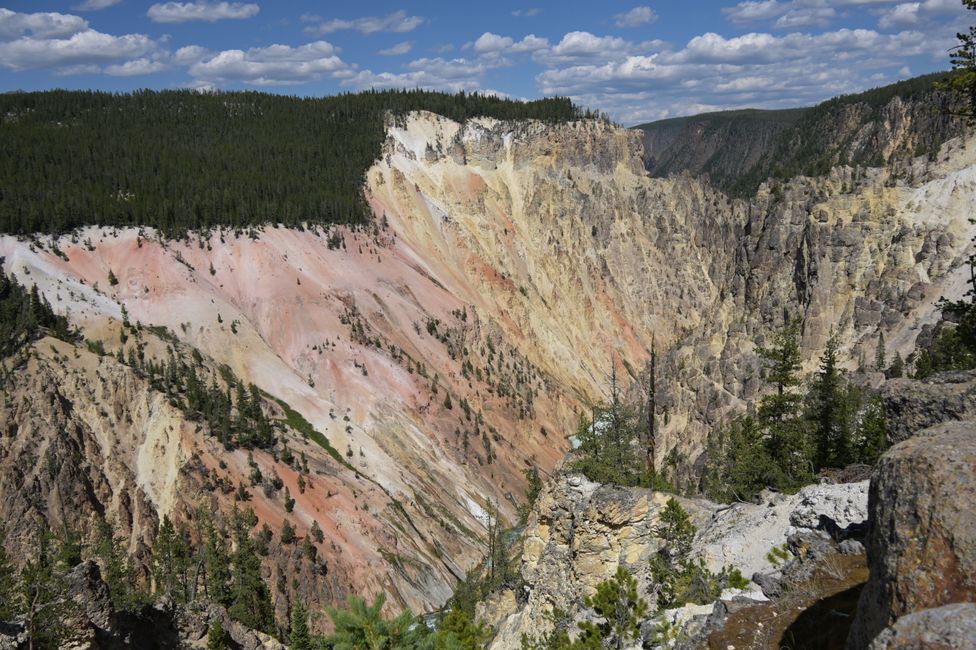Grand Canyon de Yellowstone