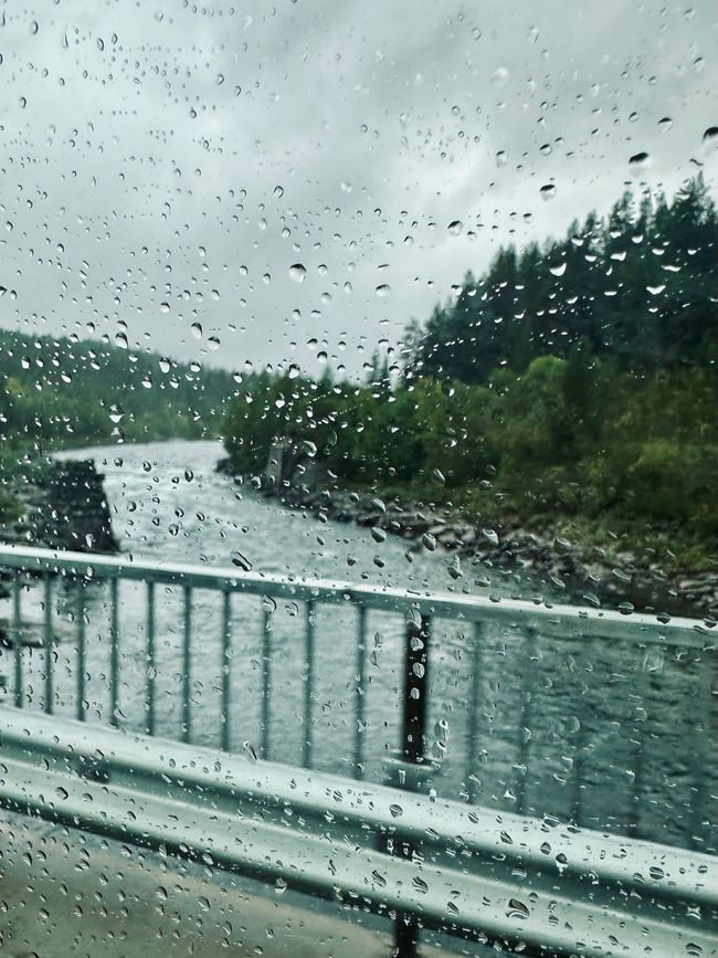 Reisetag - Regen, Nebel, Altbekanntes