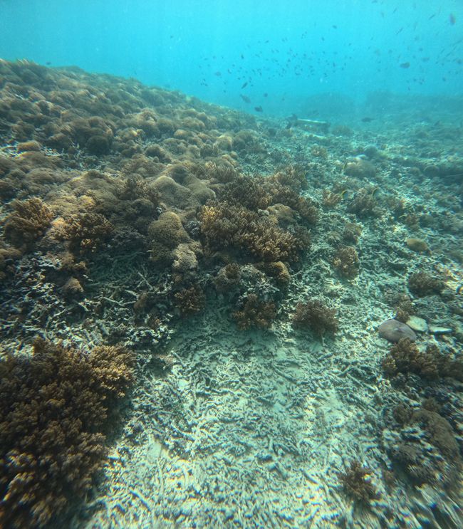 Gili Trawangan