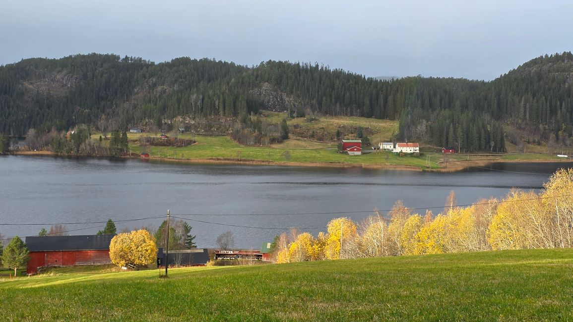 Trondheim 23-30.Oktober 2025/28.Oktober