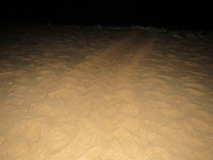 Tangalle - Folie de Plage