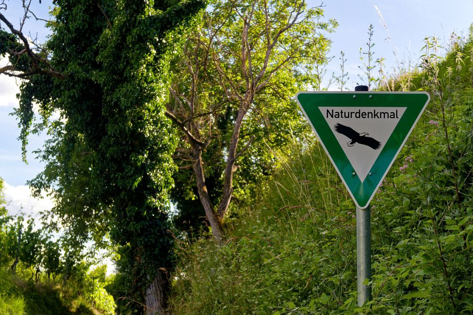 A piedi sul Teschio