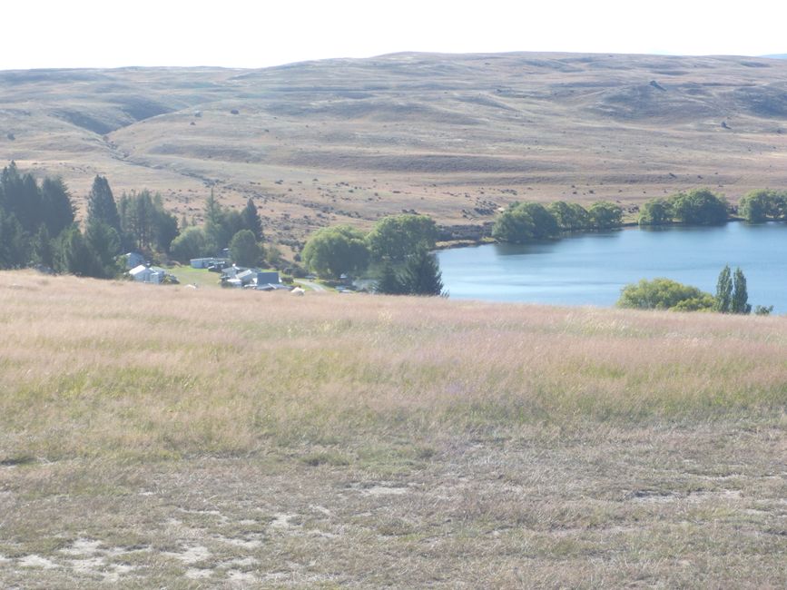 Lac Alexandrina