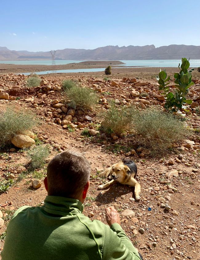 Break somewhere in nowhere - after 10 minutes, there’s always a (friendly) dog - after 20 minutes, a moped rider appears, wanting to sell us colorful crystals