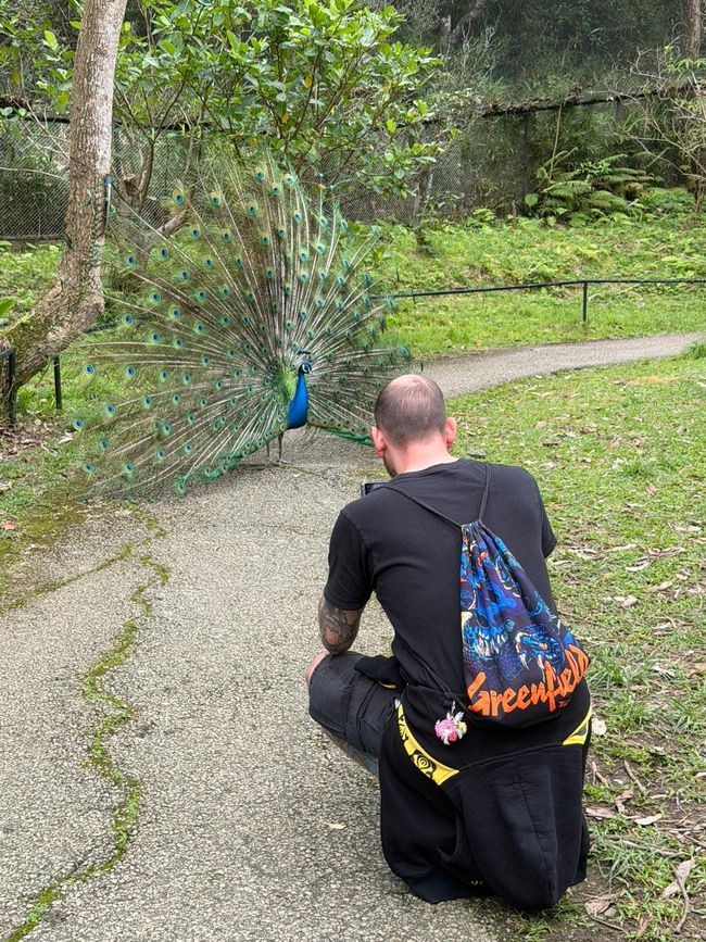 Okinawa Nuchi du takara (Life is the very thing we treasure)