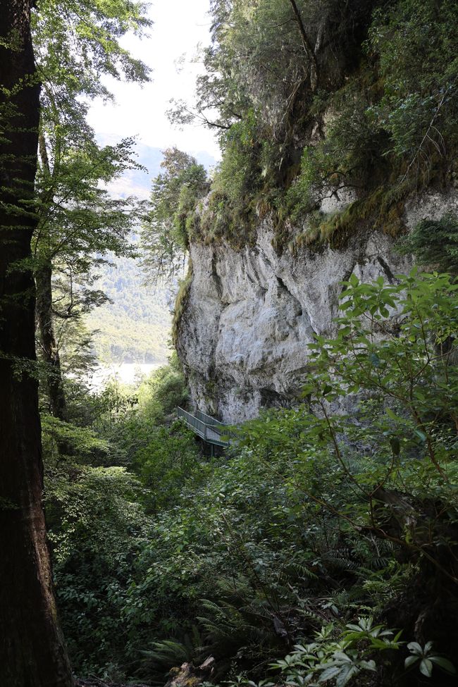 Auf nach Paradise zu "Herr der Ringe"