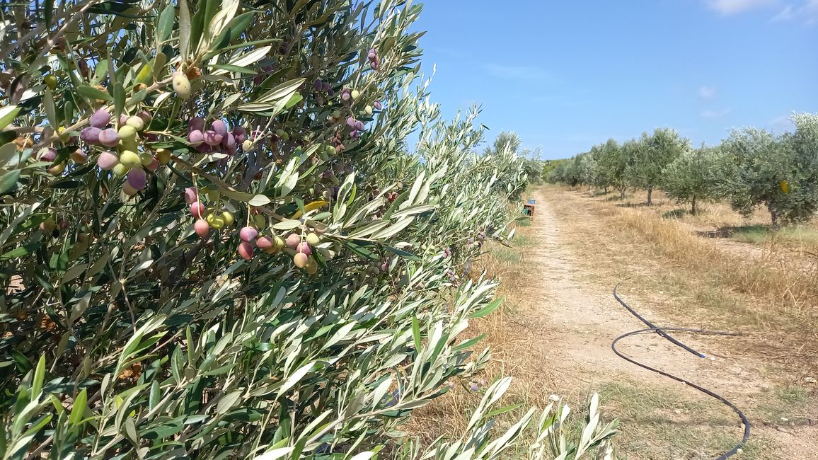 Kurztrip nach Rhodos 