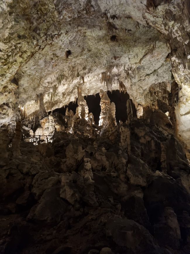 Höhlen von Postojna, 23.07.2024