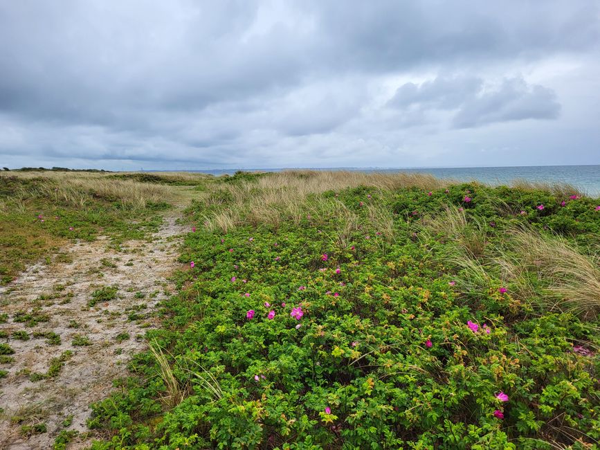 Wanderung bei Orth zum Flügger Leuchtturm