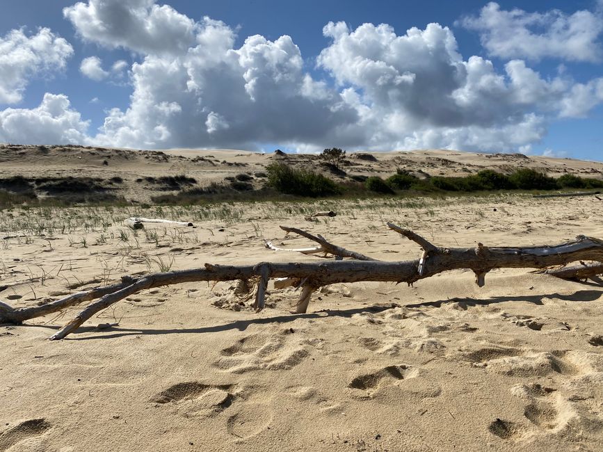 DUNE DU PILAT