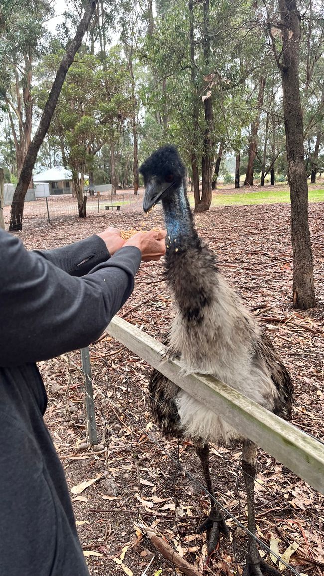 Margaret River