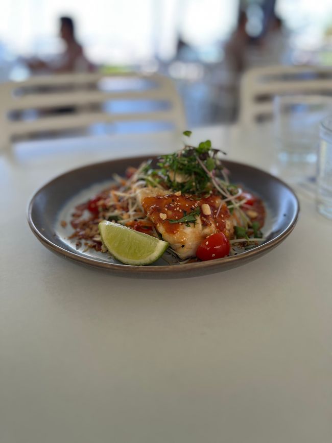 Mittagessen: Goldband Snapper – blind bestellt