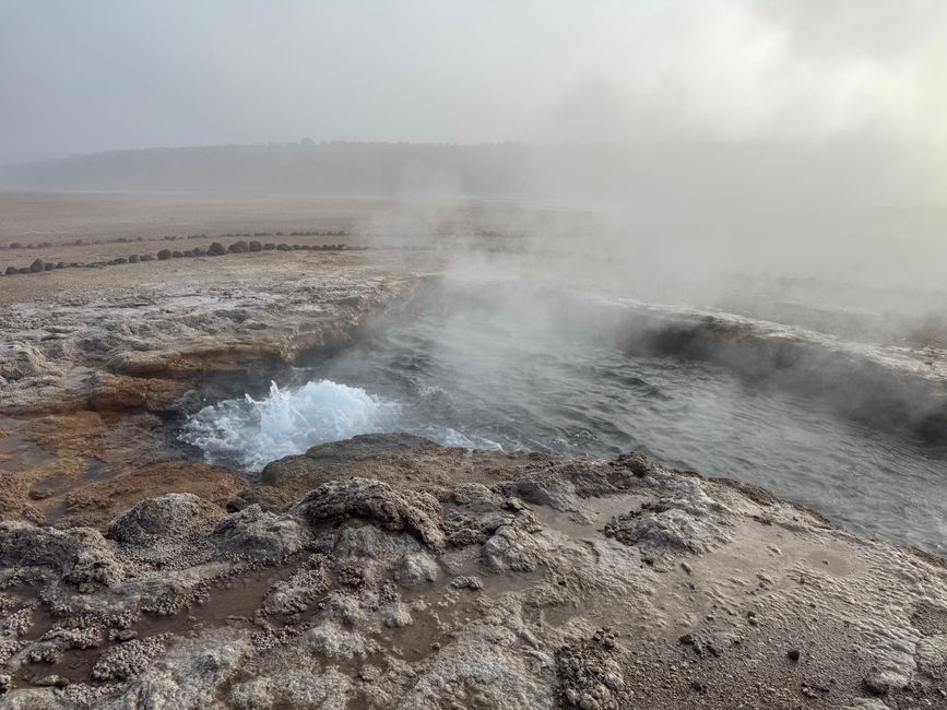 Geyser Tatio