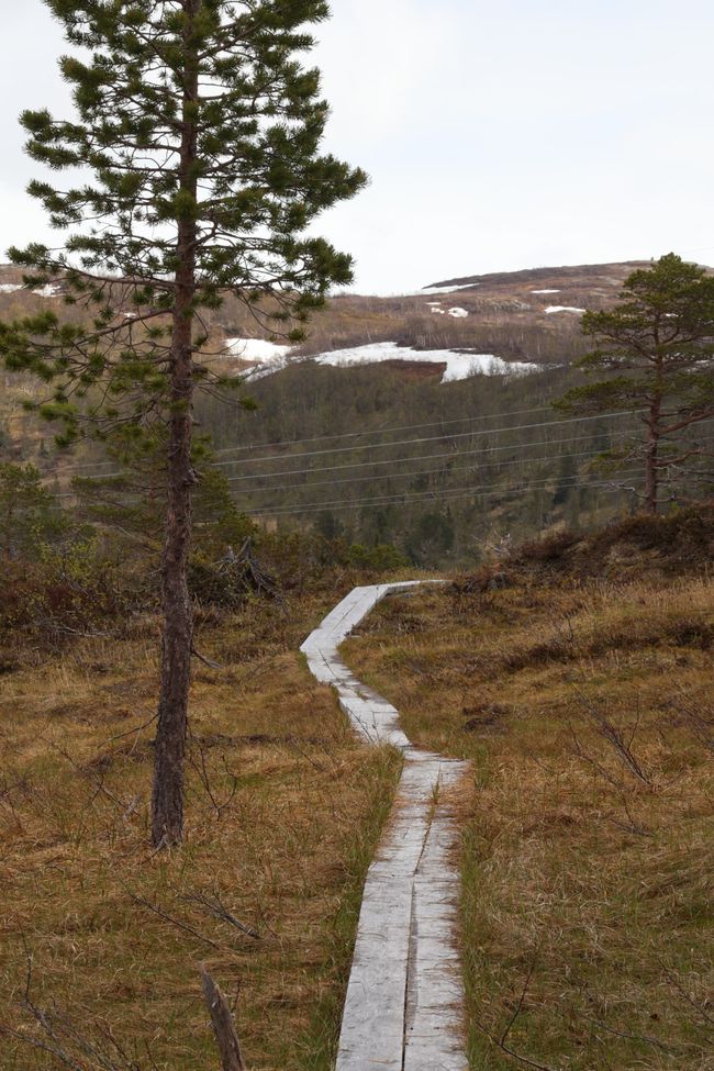 Südnorwegen hat mich in seinen Bann gezogen
